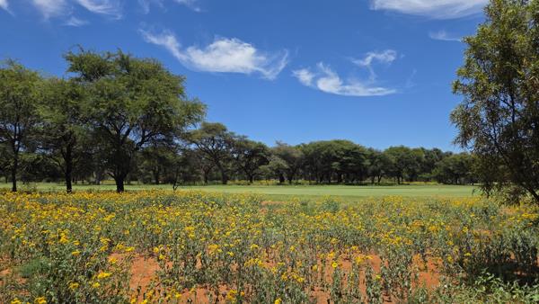 1 000 m² Land