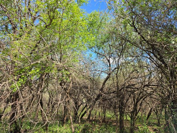 1 900 m² Land