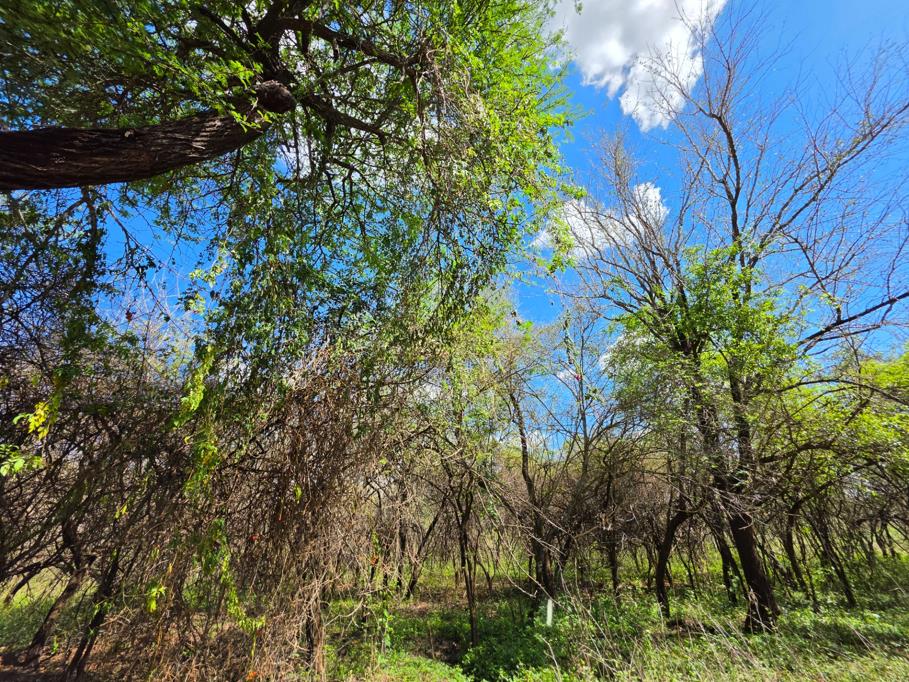 1 900 m² Land