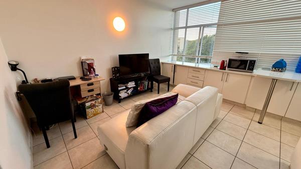 Bachelor apartment
