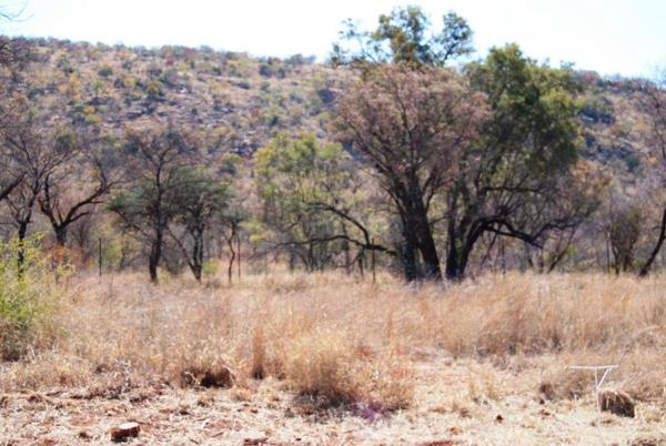 1 132 m² Land