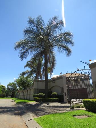 3 Bedroom Cluster
