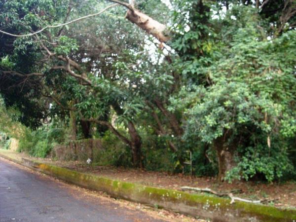 5 518 m² Land