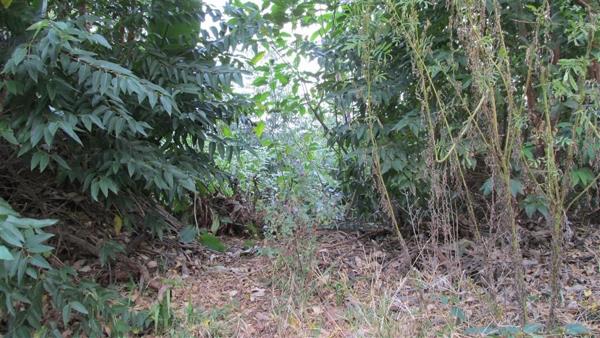 1 208 m² Land