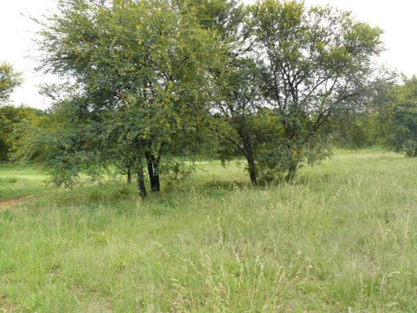 705 m² Land