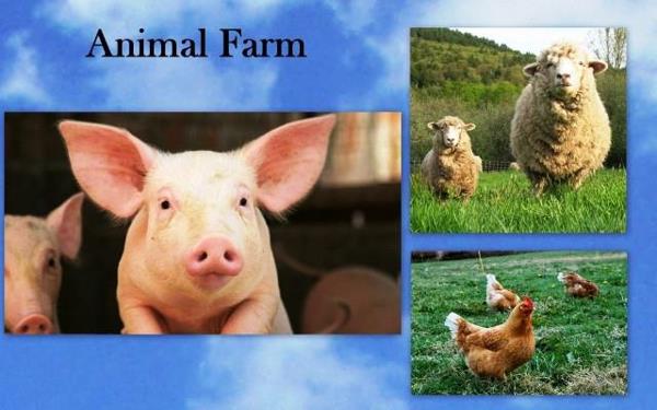 5.5  m² Commercial space