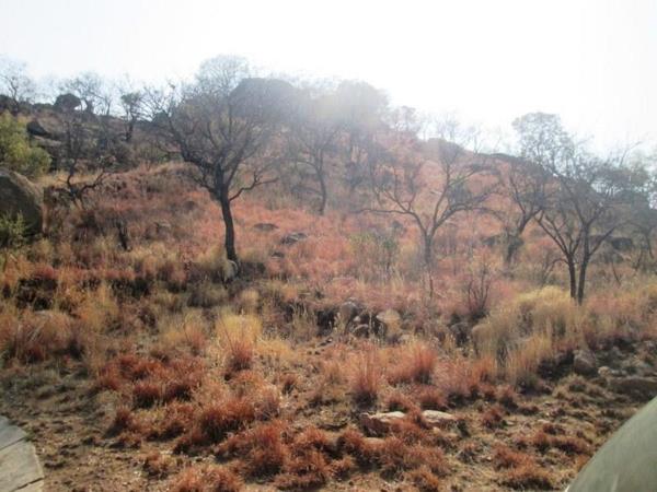 1 ha Land