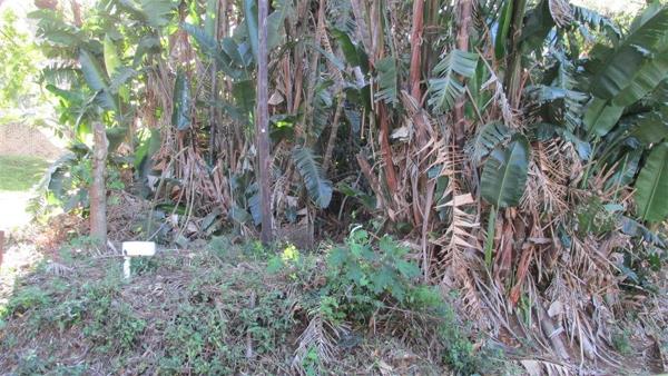 1 230 m² Land