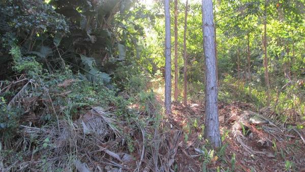 1 230 m² Land