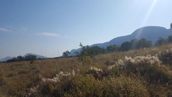 64 ha Land