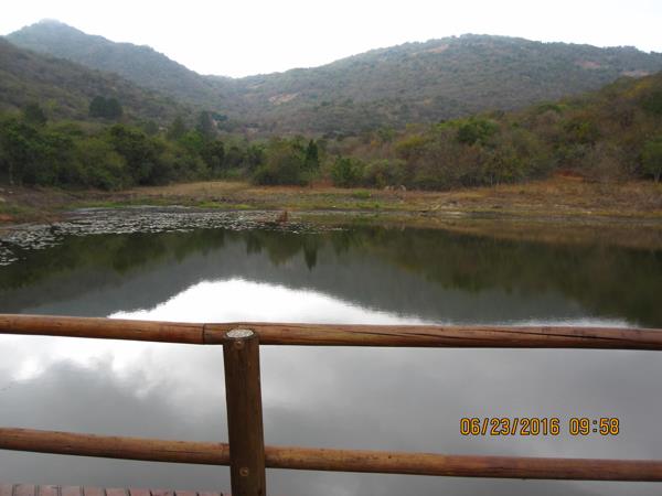 42 ha Farm