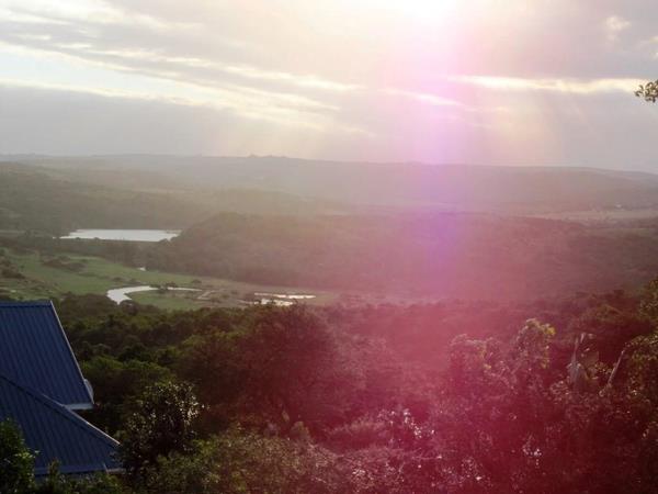 939 m² Land