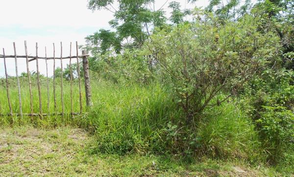 1 349 m² Land