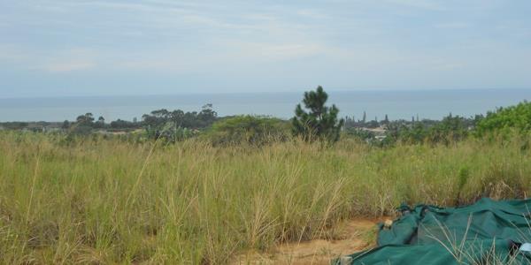 1.5 ha Land