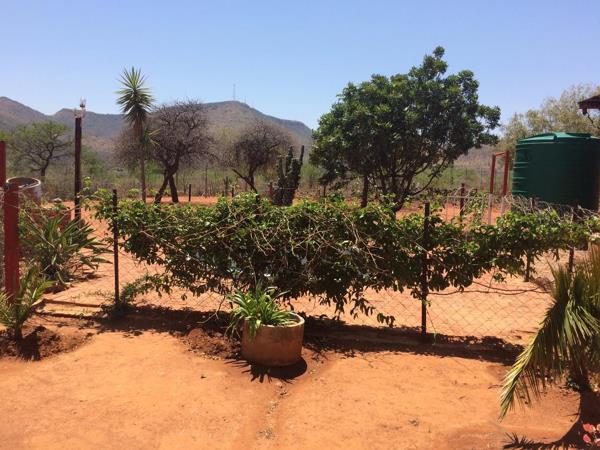 42 ha Farm