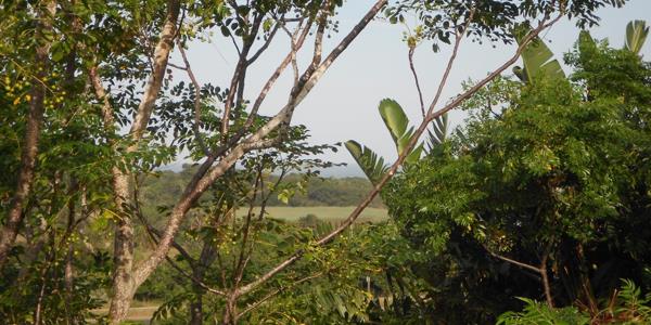 2 267 m² Land