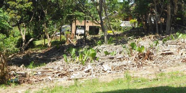 1 494 m² Land