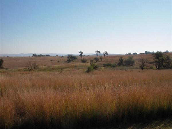 10.9 ha Farm