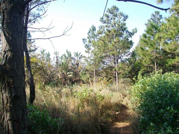 1 842 m² Land