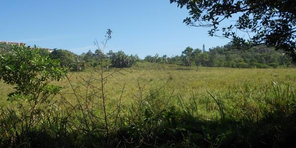 1.2 ha Land