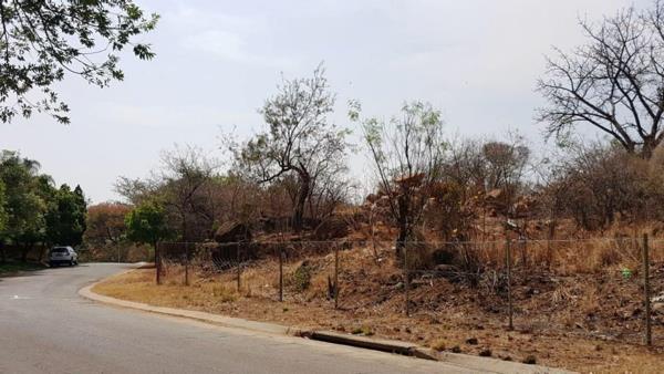 1.3 ha Land