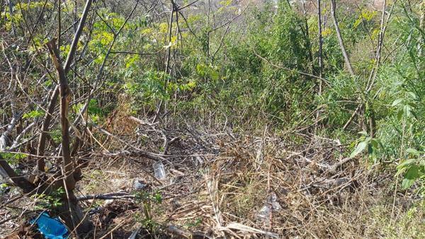 3 117 m² Land