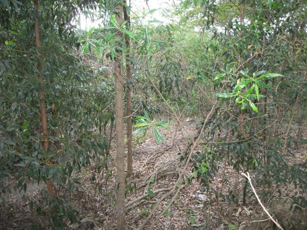 1 352 m² Land