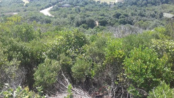 1 046 m² Land