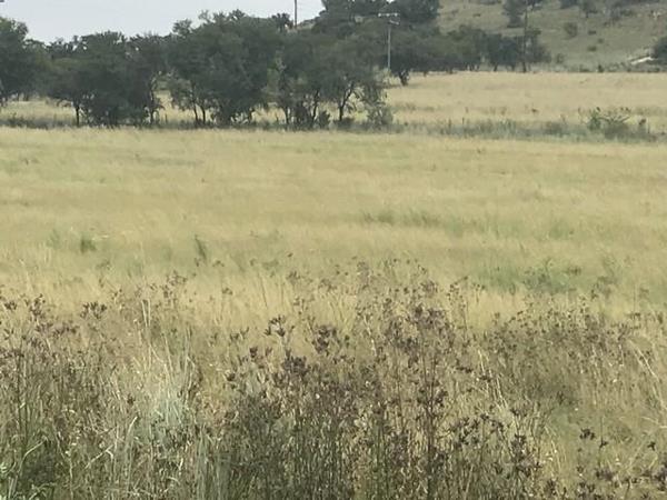 15 ha Farm