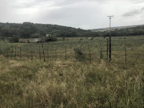 15 ha Farm