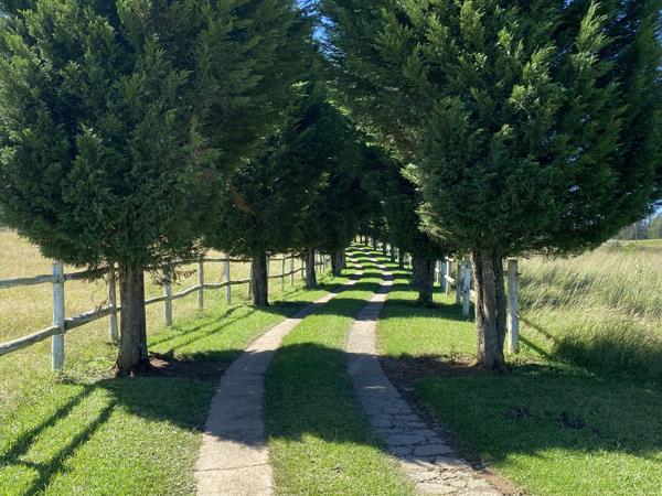 25 ha Smallholding