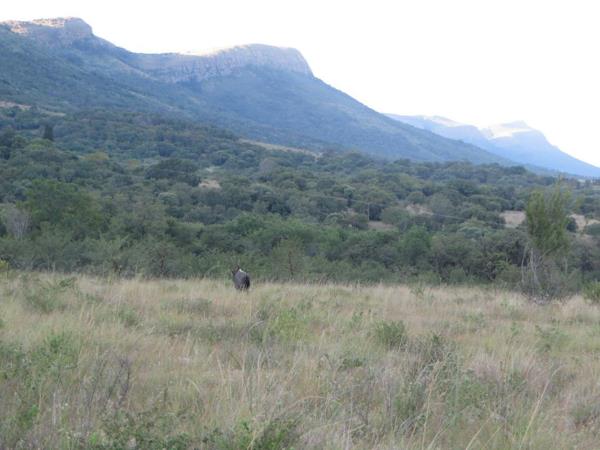 186.9 ha Smallholding