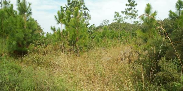 1 928 m² Land