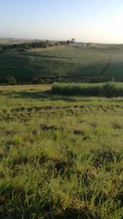 4.5 ha Land