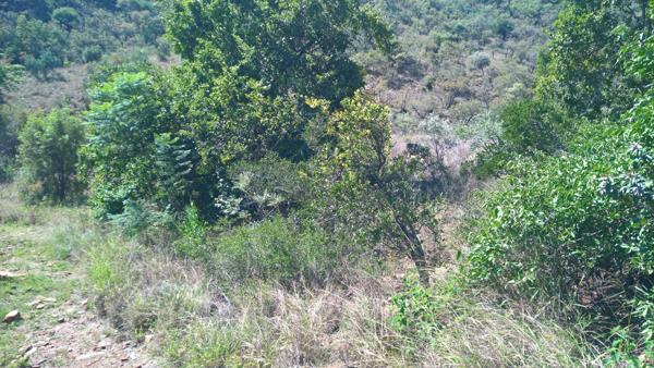 779 m² Land