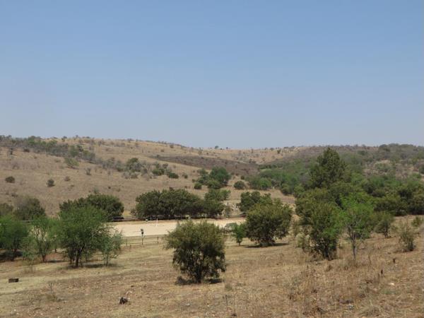 8.6 ha Smallholding