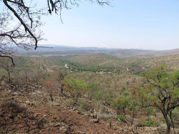 139.1 ha Smallholding