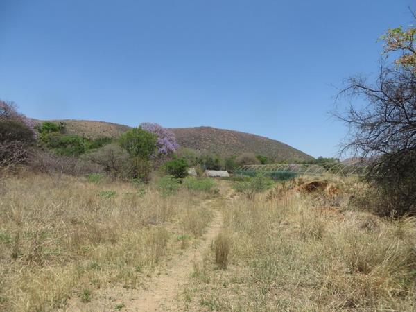 133.4 ha Smallholding