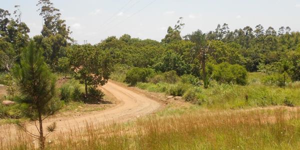 3 655 m² Land