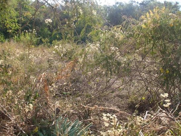 892 m² Land