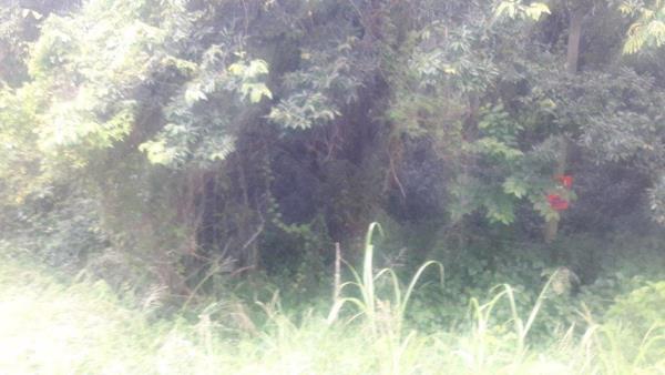 8.6 ha Land