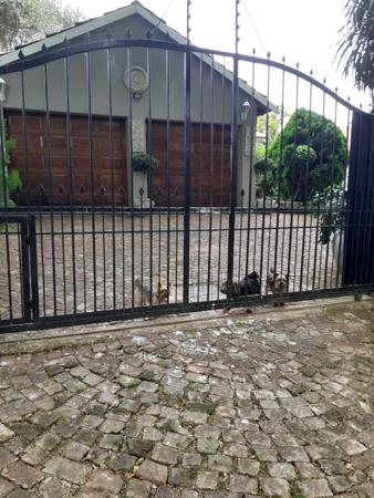 1 Bedroom Garden Cottage