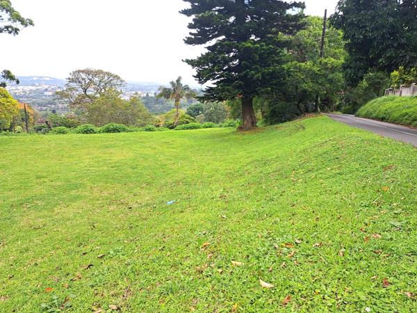 2 311 m² Land