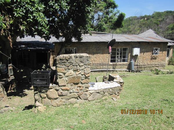 15 ha Farm