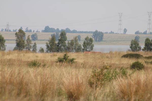 3.3 ha Land