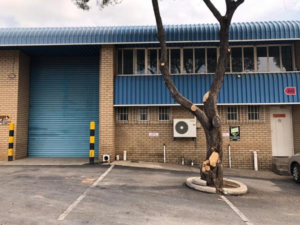 350  m² Industrial space