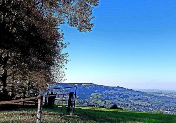 2.8 ha Land