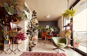 Apartment in Observatory