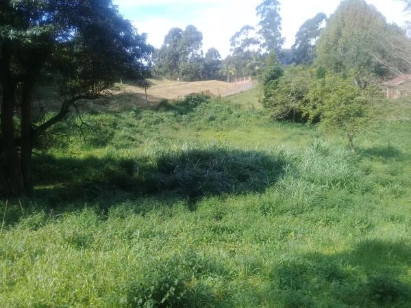 6 000 m² Land