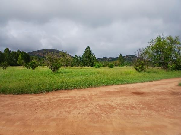 81.2 ha Farm